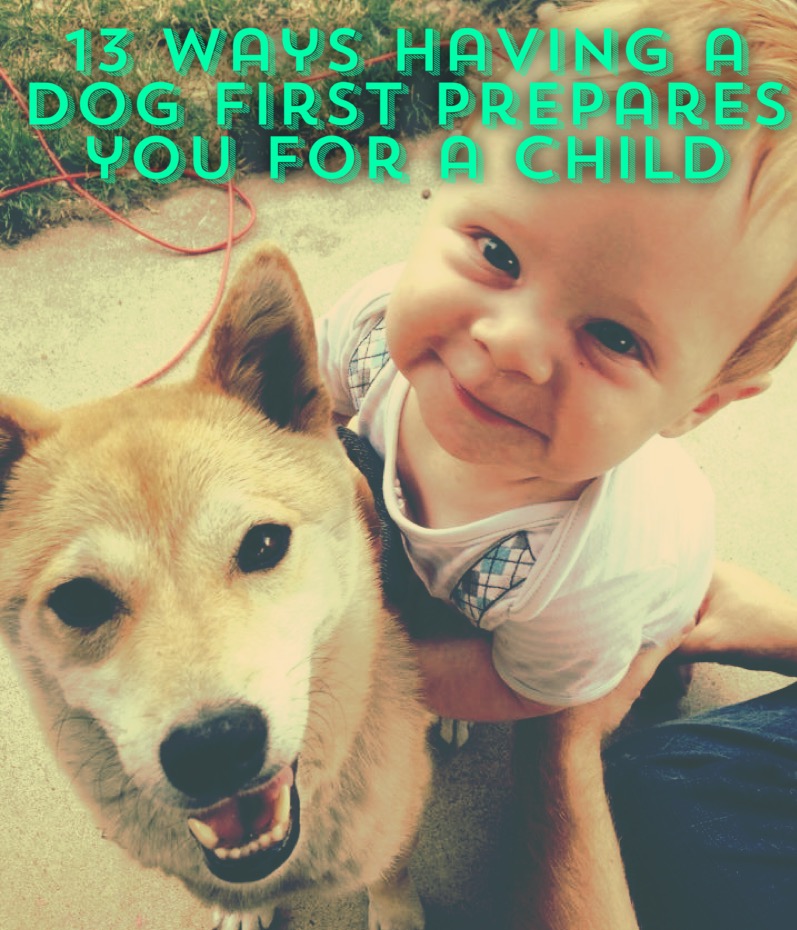 13 Ways Having a Dog First Prepares You For a Child